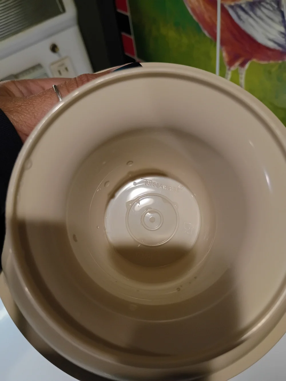 Tupperware vintage keep